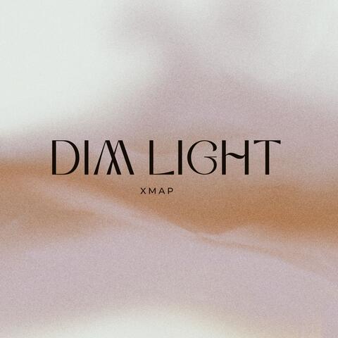 Dim Light