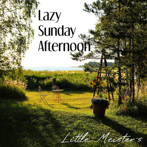 Lazy Sunday Afternoon