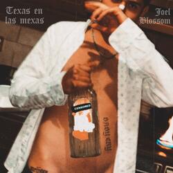 Texas en las Mexas