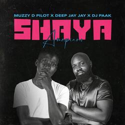 Shaya(Amapiano)