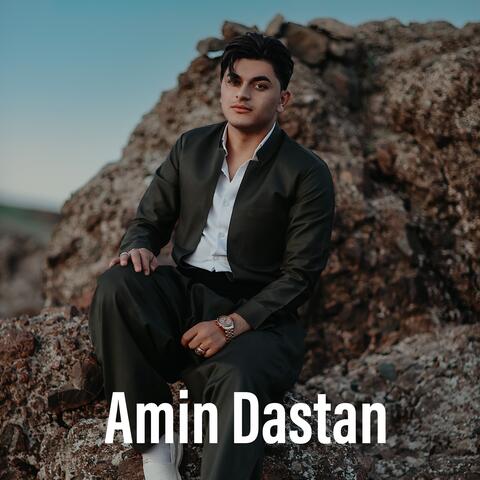 Dargay Ashgh