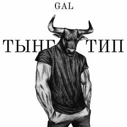 Тынг тип