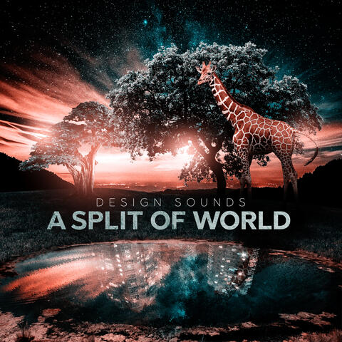 A Split Of World