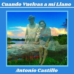 Mi Verso