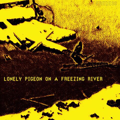 Lonely Pigeon on a Freezing River