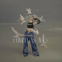 Como las Aves