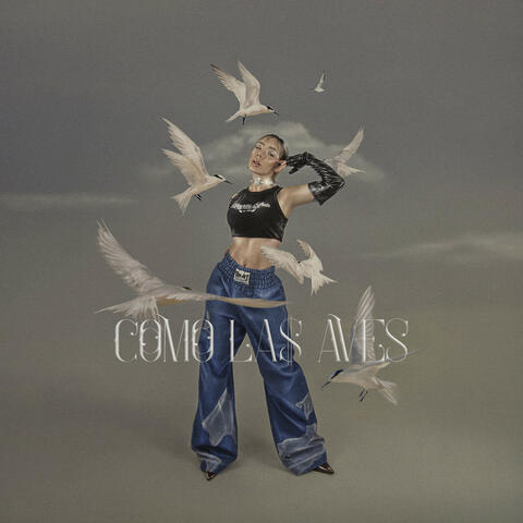 Como las Aves