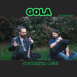 Sevdaluğun Acisi