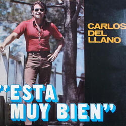 Viejo Cafe