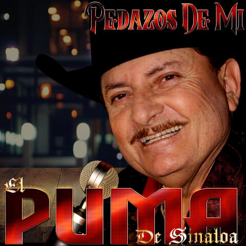 Pedazos de Mi