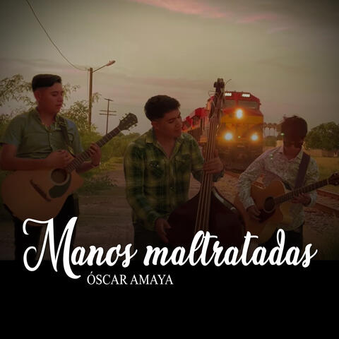 Manos Maltratadas