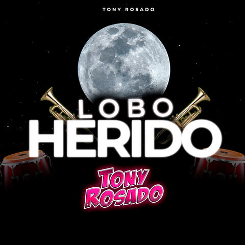Lobo Herido