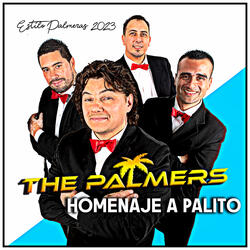 Homenaje a Palito