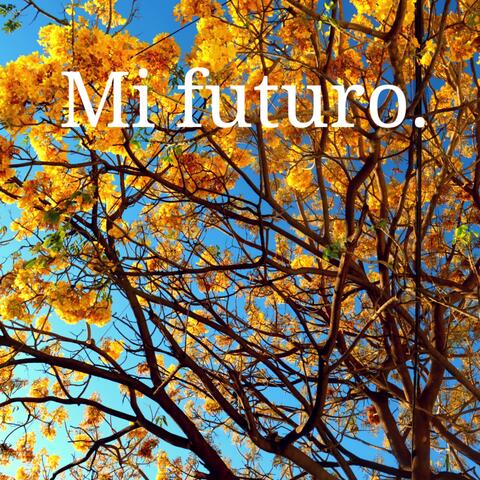 Mi Futuro