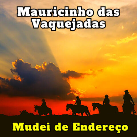 Mudei de Endereço