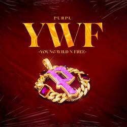 YWF (Young Wild n' Free)