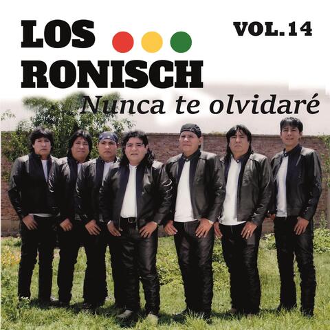 Nunca Te Olvidare, Vol. 14