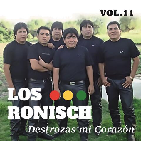 Destrozas Mi Corazón Vol.11