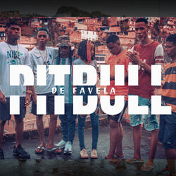 Pitbull de Favela