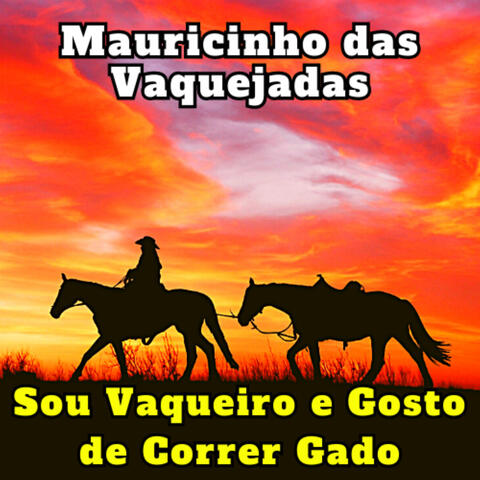 Sou Vaqueiro e Gosto de Correr Gado