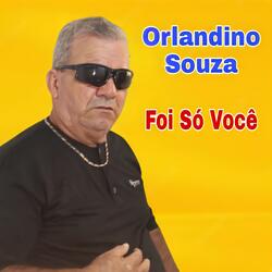 Foi Só Você