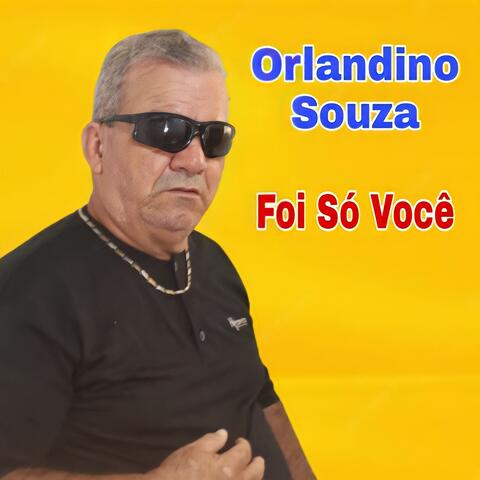 Foi Só Você