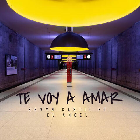 Te Voy a Amar