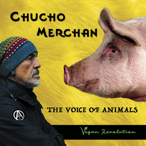 The Voice of Animals