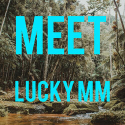 Meet