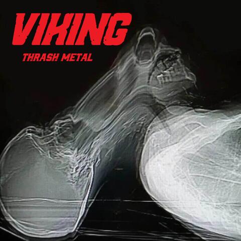 VIKING THRASH METAL