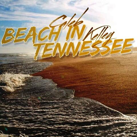 Beach in Tennessee