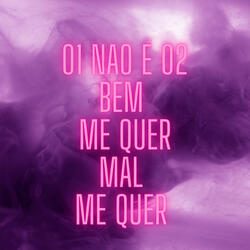 01 Não É 02 Bem Me Quer Mal Me Quer
