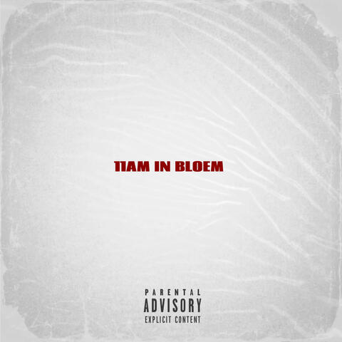 11Am in Bloem