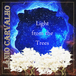 Light From the Trees