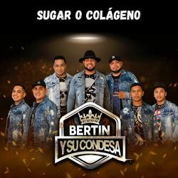 Sugar o Colágeno
