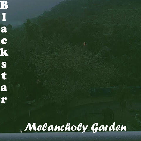 Melancholy Garden