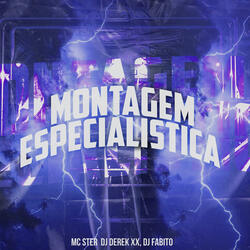Montagem Especialistica