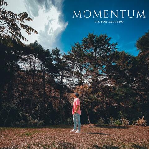 Momentum