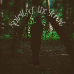 Белый шум дождя