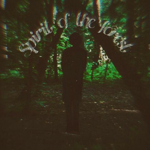 Spirit of The Forest