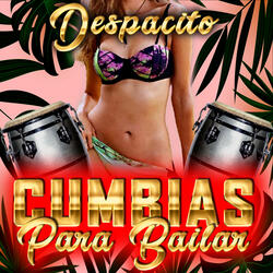 Don Chuco