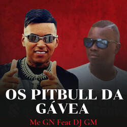 Os Pitbull Da Gavea