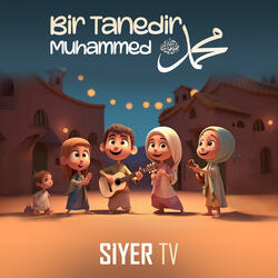Bir Tanedir Muhammed