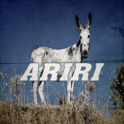Ariri