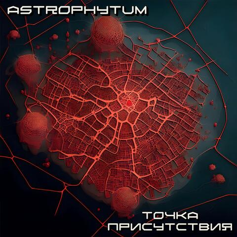 Точка присутствия