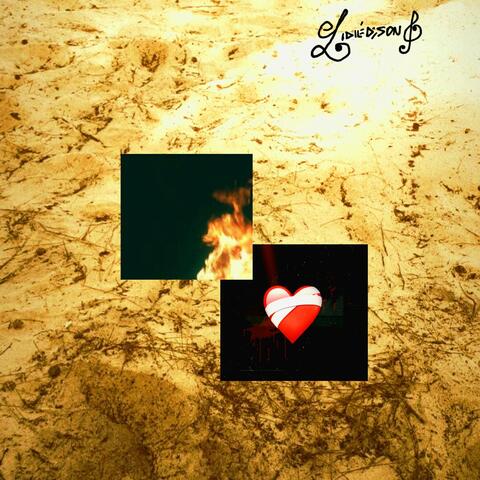 You Can't Control My Heart