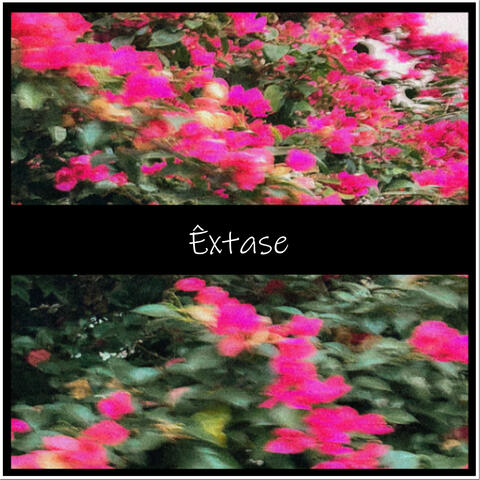 Êxtase