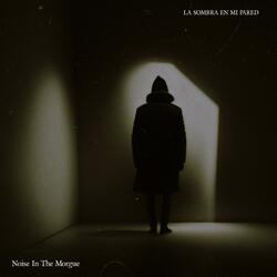 La Sombra en Mi Pared