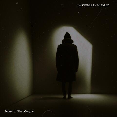 La Sombra en Mi Pared