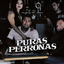 Los Picos de Isabel